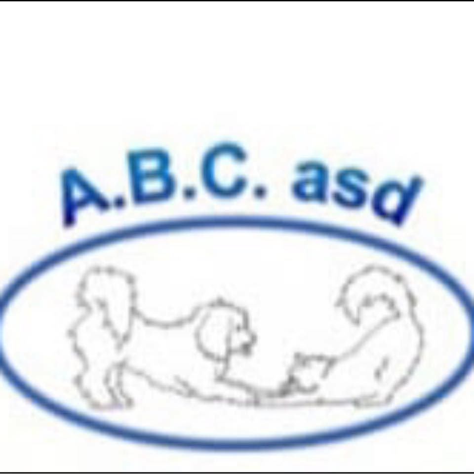 ABC asd | Castellanza