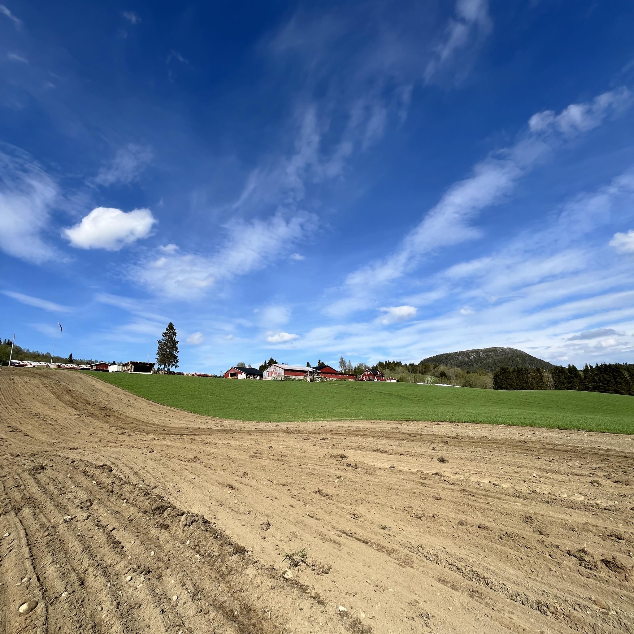 Røen Maskin | Rindal