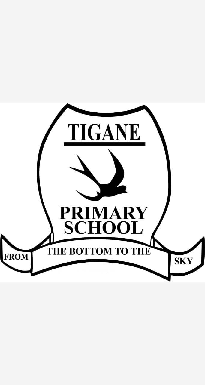 Tigane Primary School