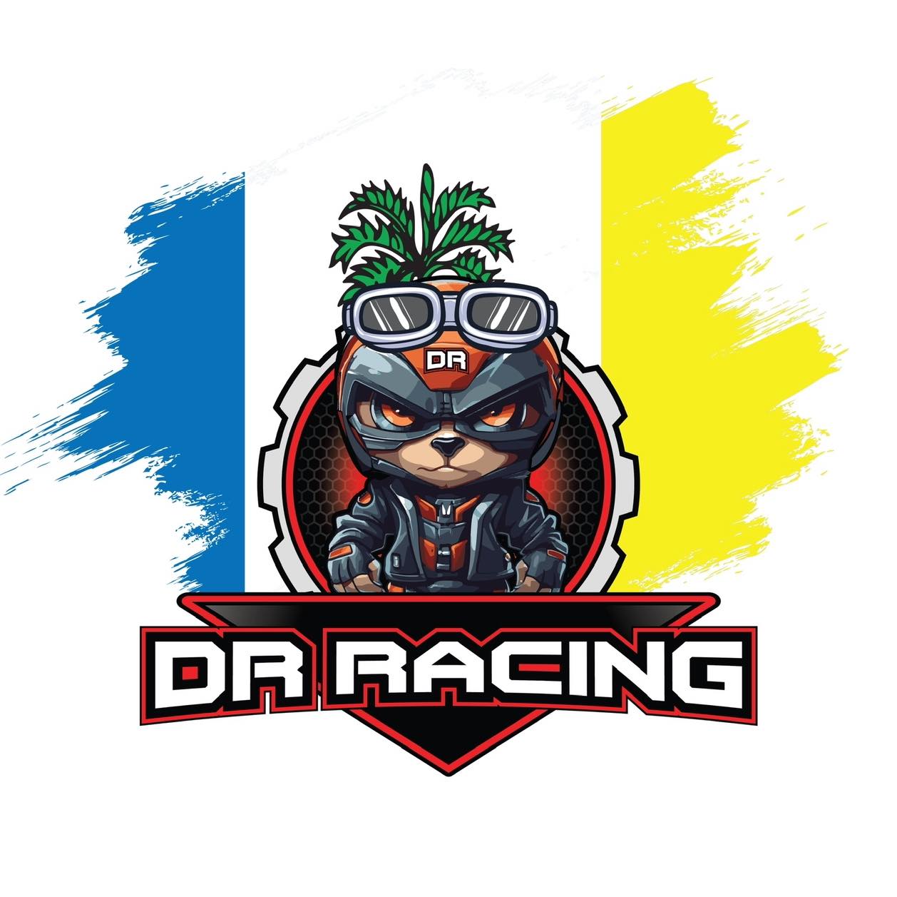 Dr Racing