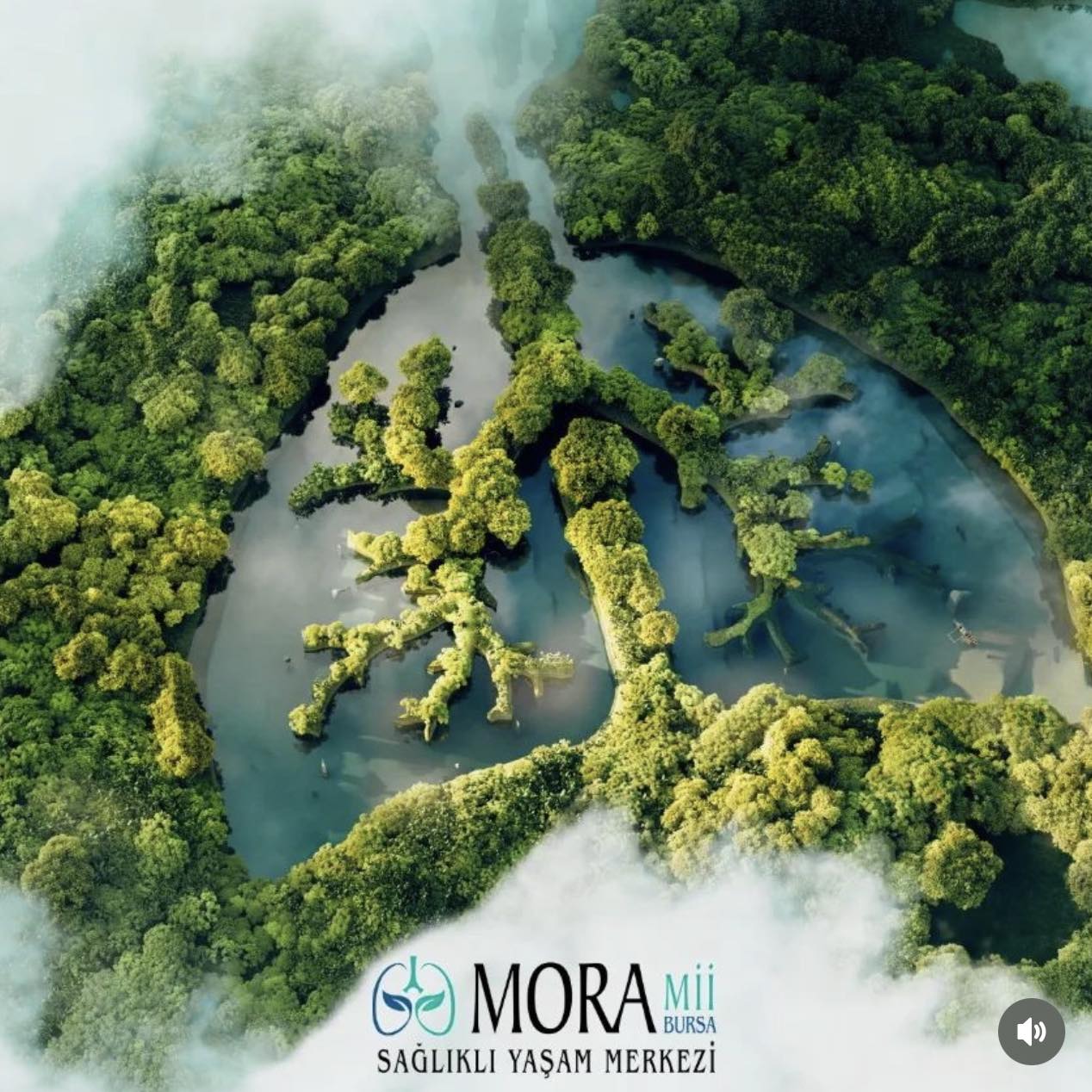 Morami Bursa | Bursa