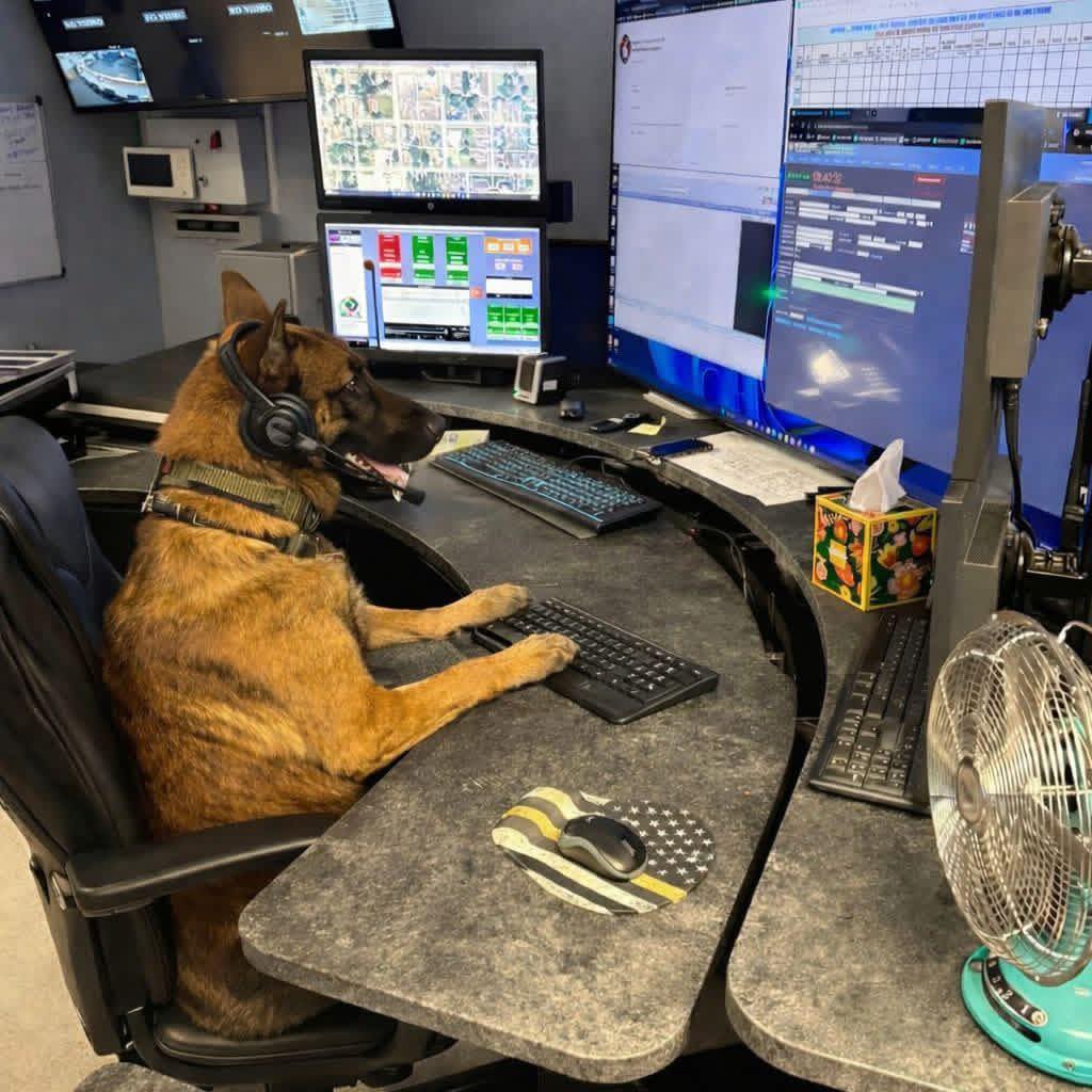 911 Dispatchers 🚨 | Facebook