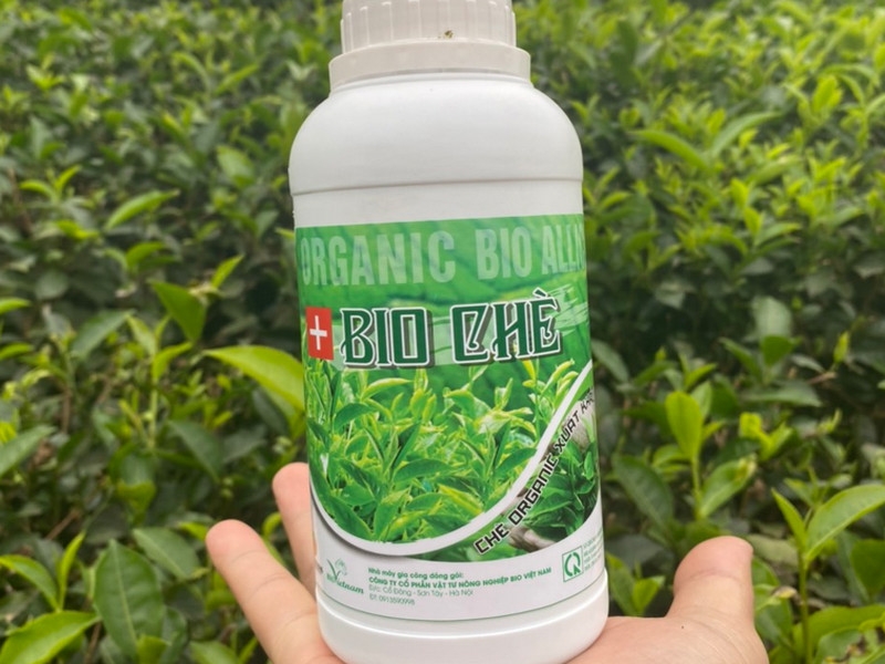 Bio Chè - Phân bón hữu cơ chuyên cây chè
