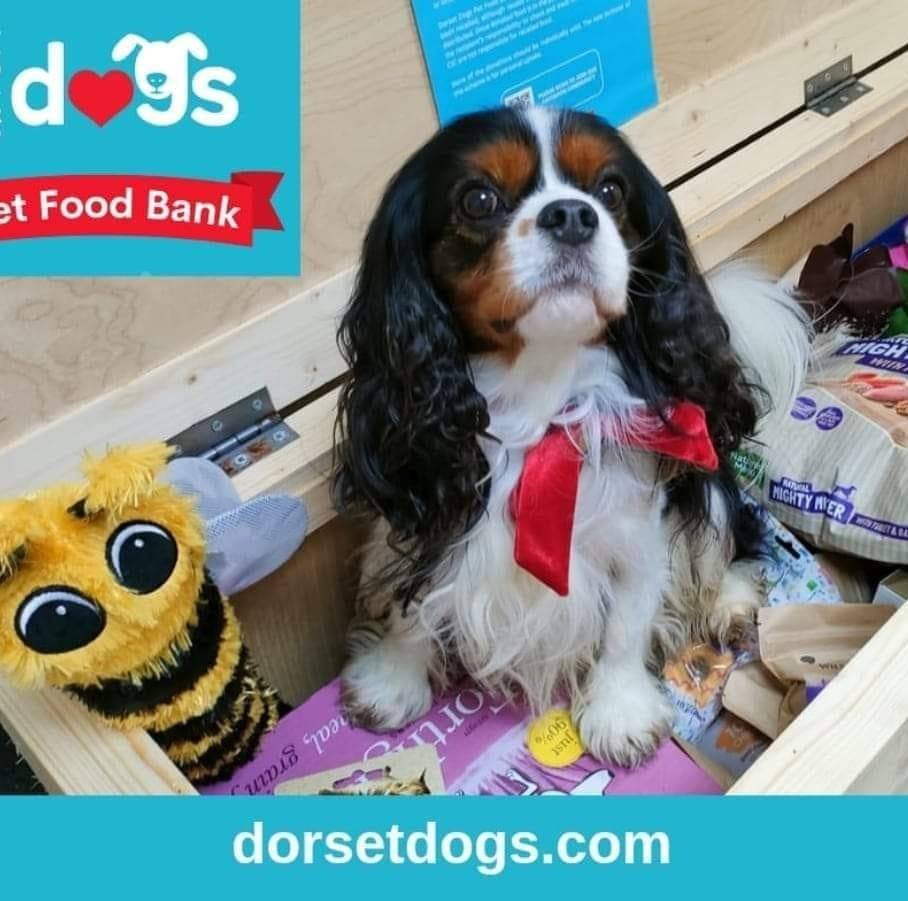 Merlin's Pet Food Banks for Dorset Dogs CIC