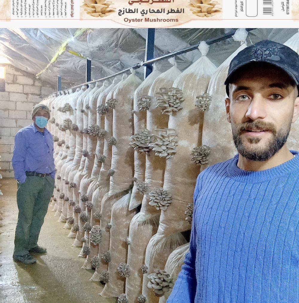 مزارع الفطرنجي لأنتاج الفطر والابواغ | Jerash