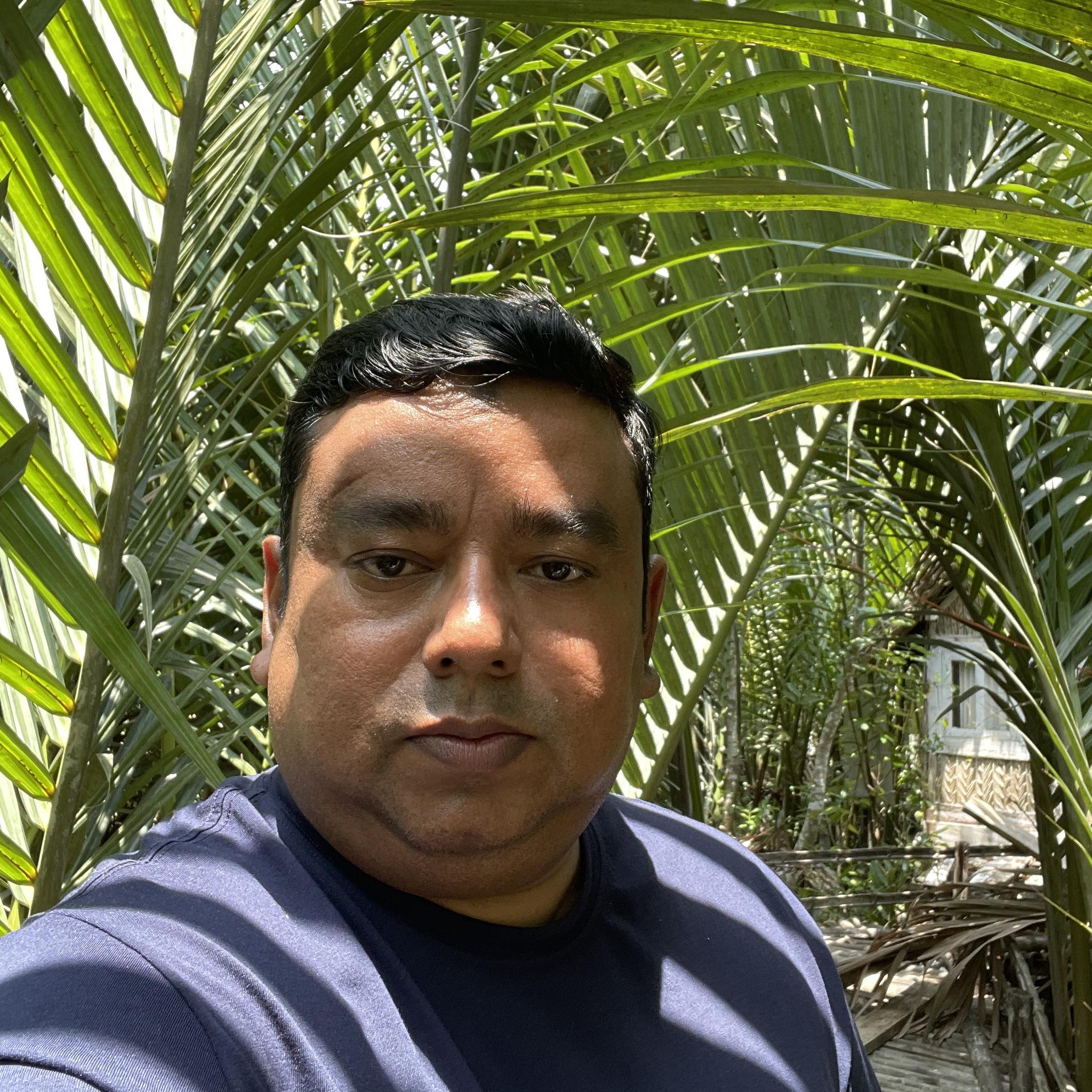 Shibli Shibli