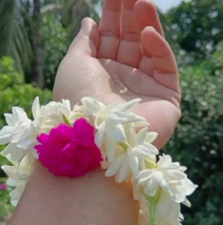 Md Riday