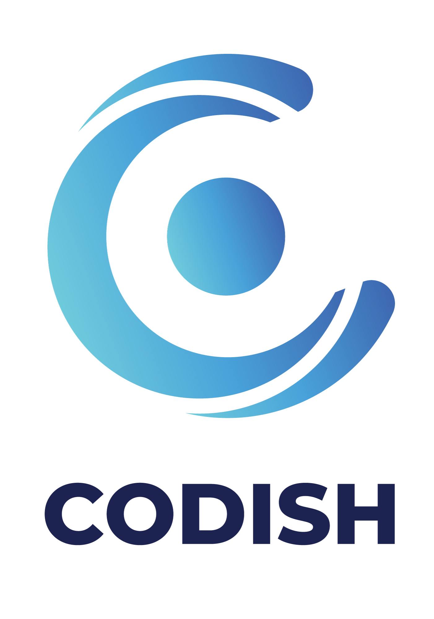 Codish Technologies | Dublin CA