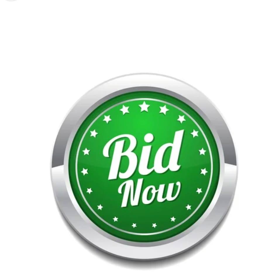 Bid or buy it now | Owego NY