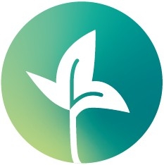 GYTHA - Global Yoga for Trauma Healing Alliance
