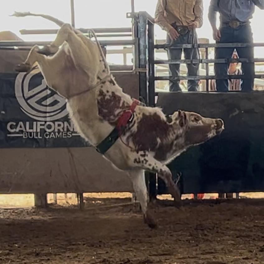 3 Ring Ranch | Angels Camp CA