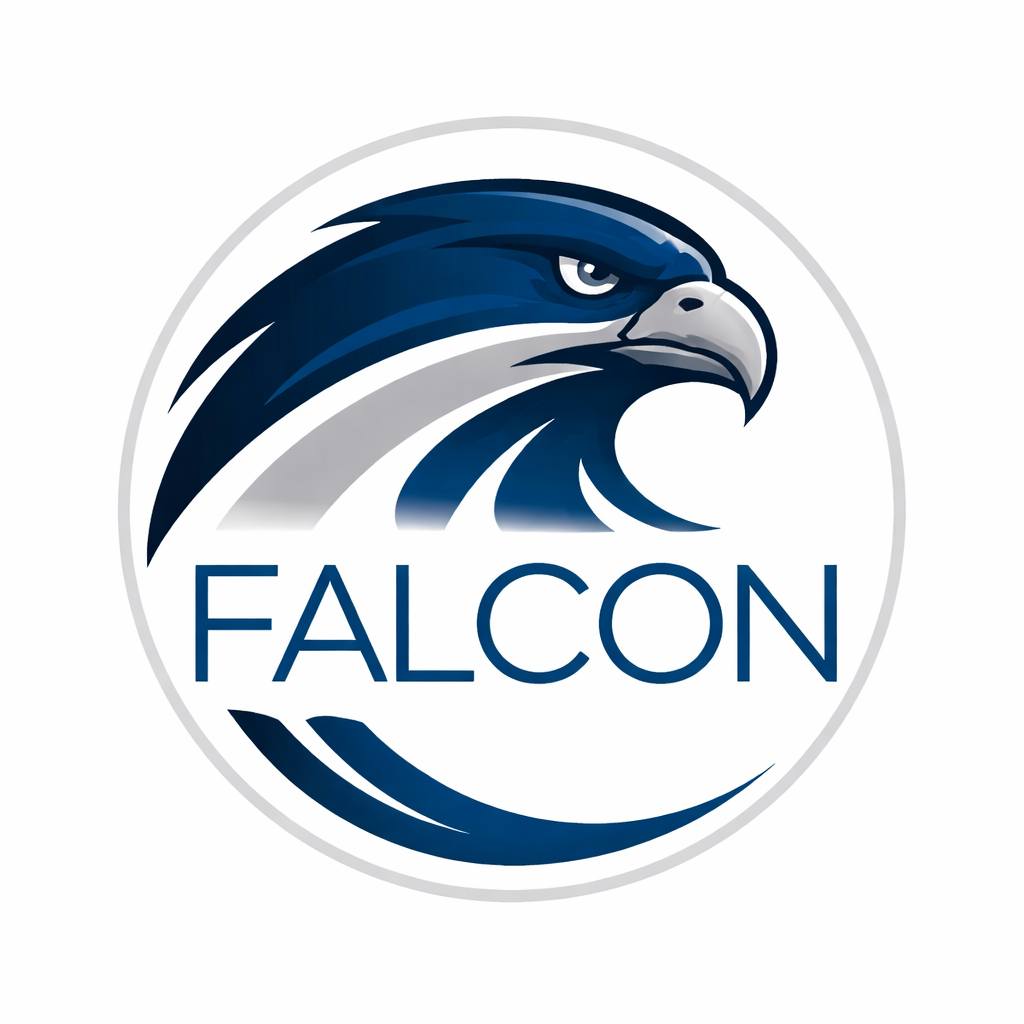 Falcon Ridge IT, LLC | Amarillo TX
