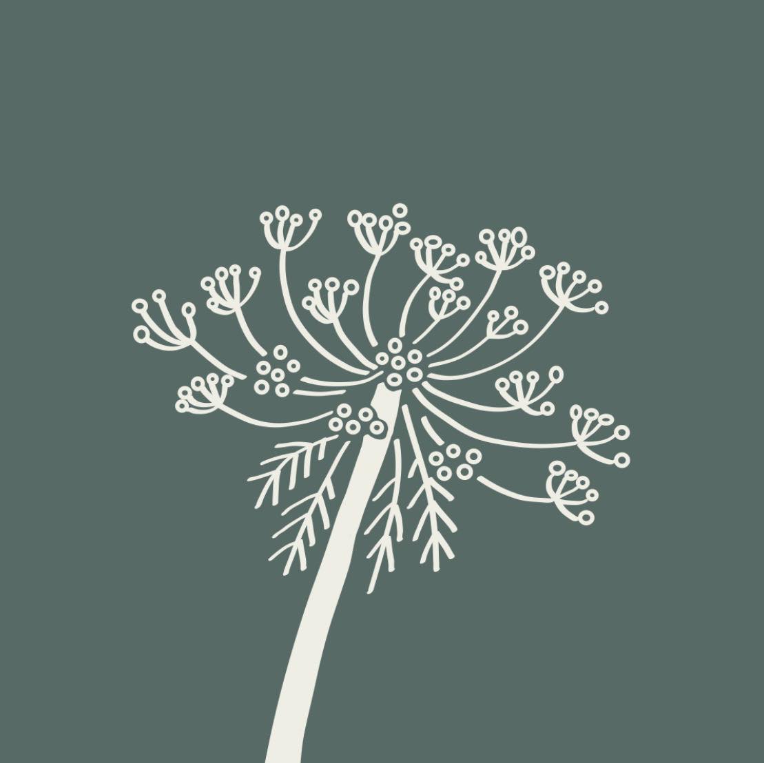 Market Street Florist | Kissimmee FL