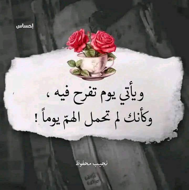 انا منين وانتي منين يفلانه | Mohammed Abdul Jabbar- محمد عبد الجبار