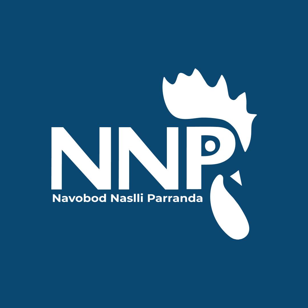 NNP Group