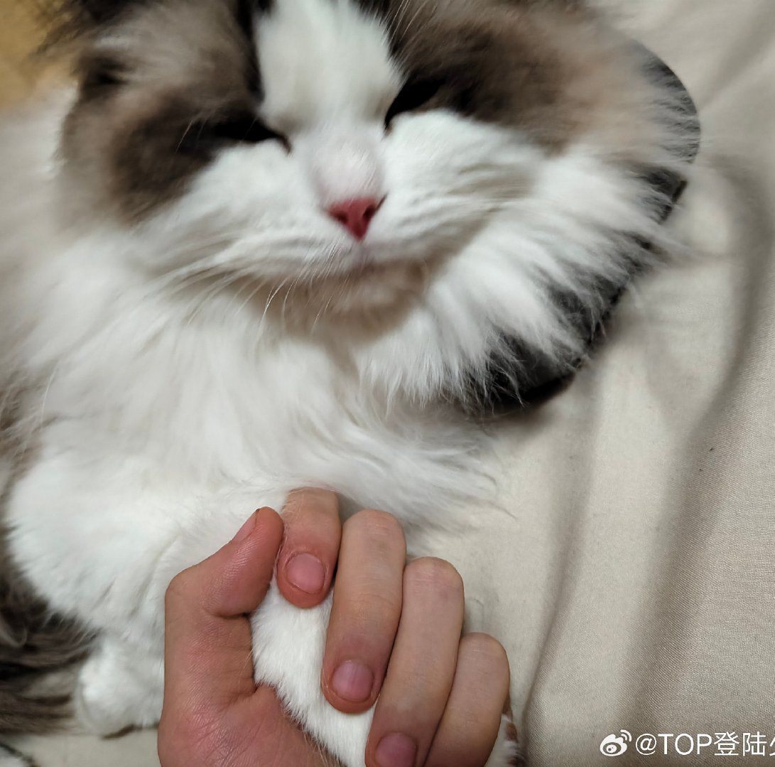 土肥 美緒 画像