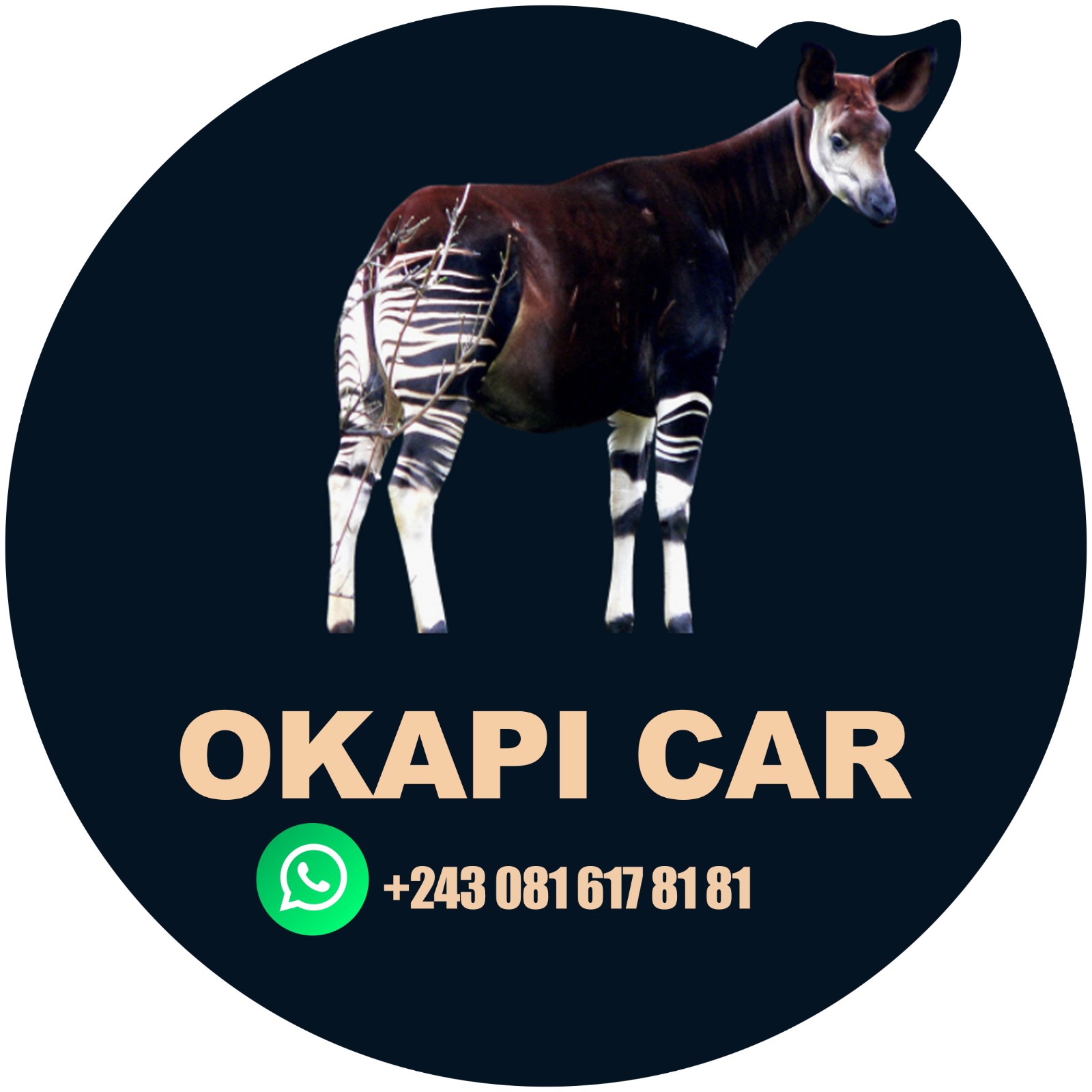 OKAPI CAR | Kinshasa