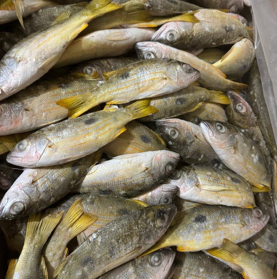 FRESH SEA FOODS | Chittagong