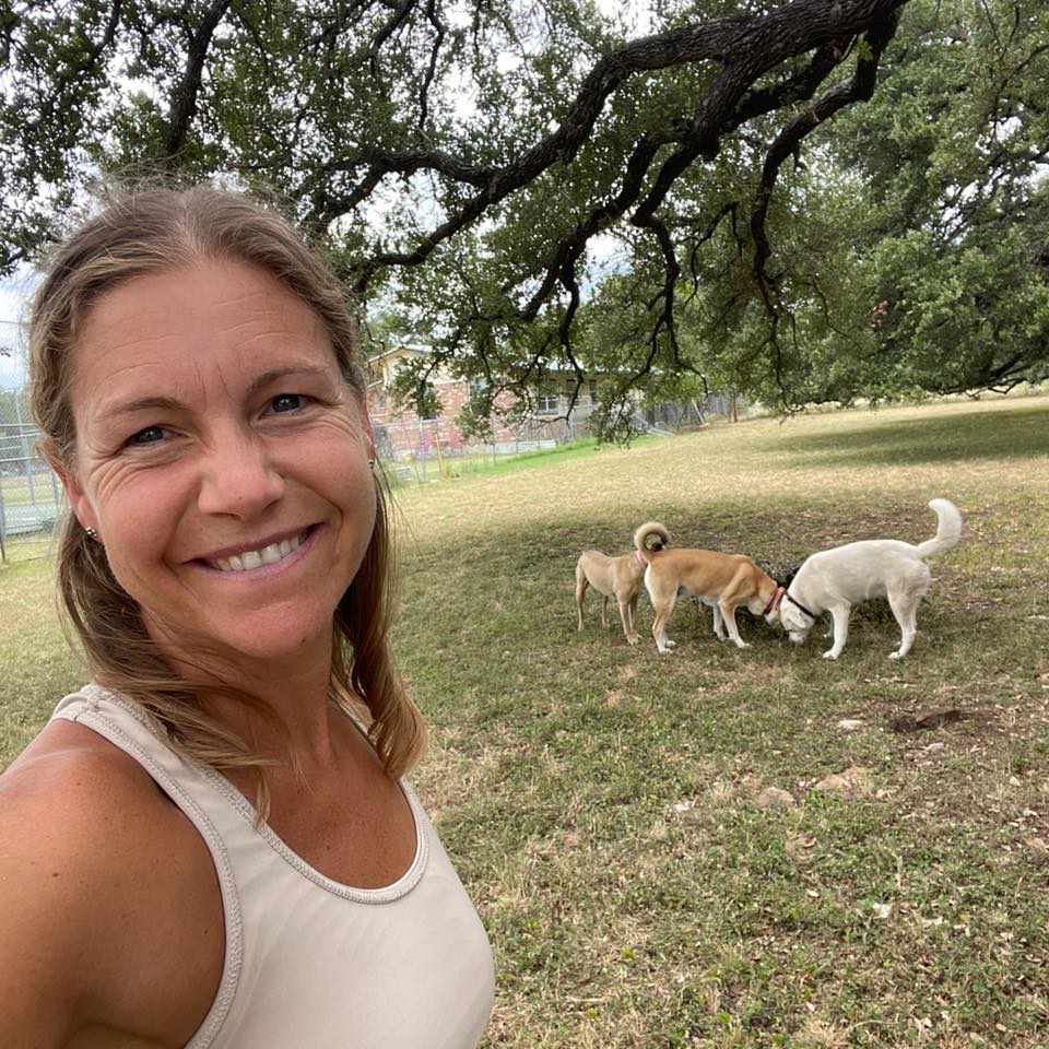 Daily Dose of Dog — an afternoon of yard play, sniff patrols and new ...
