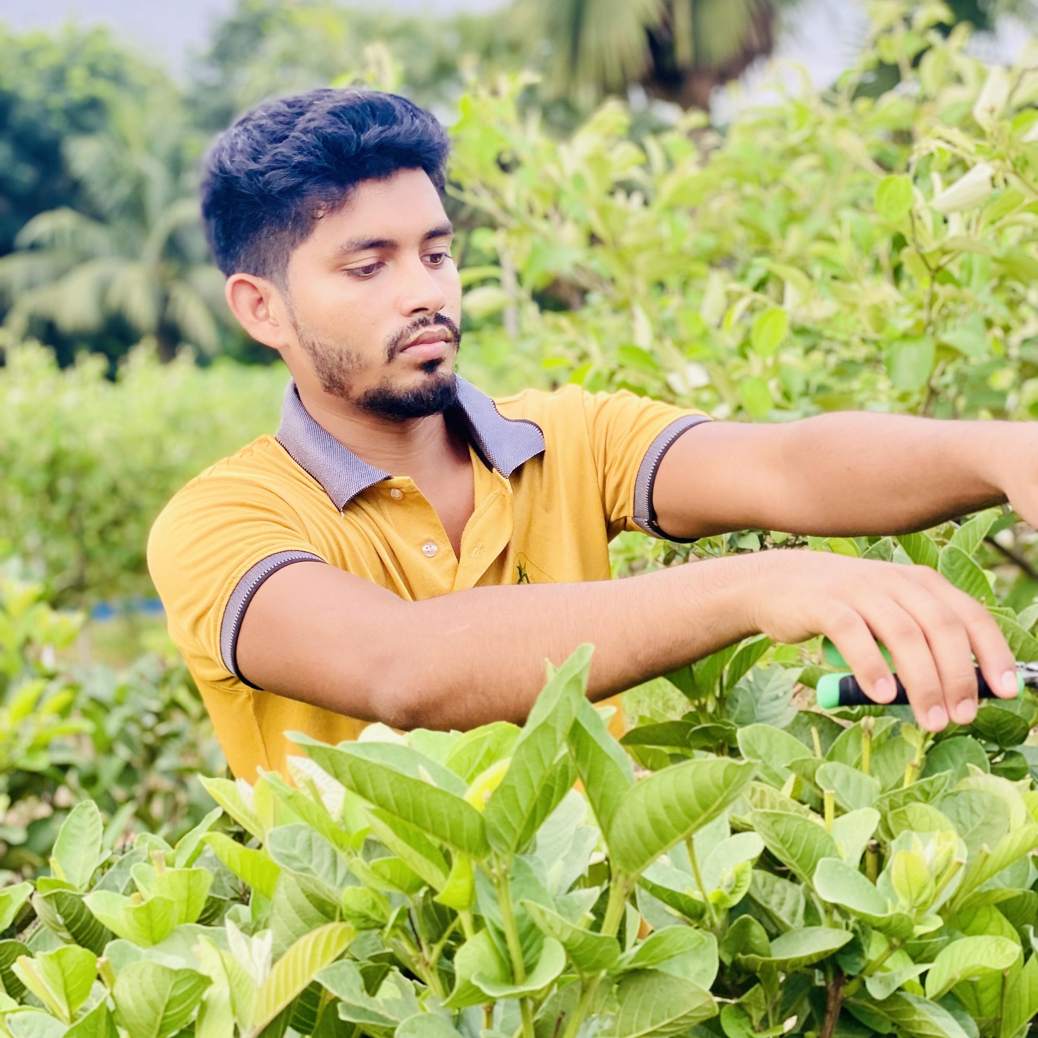 Onik Ahmed