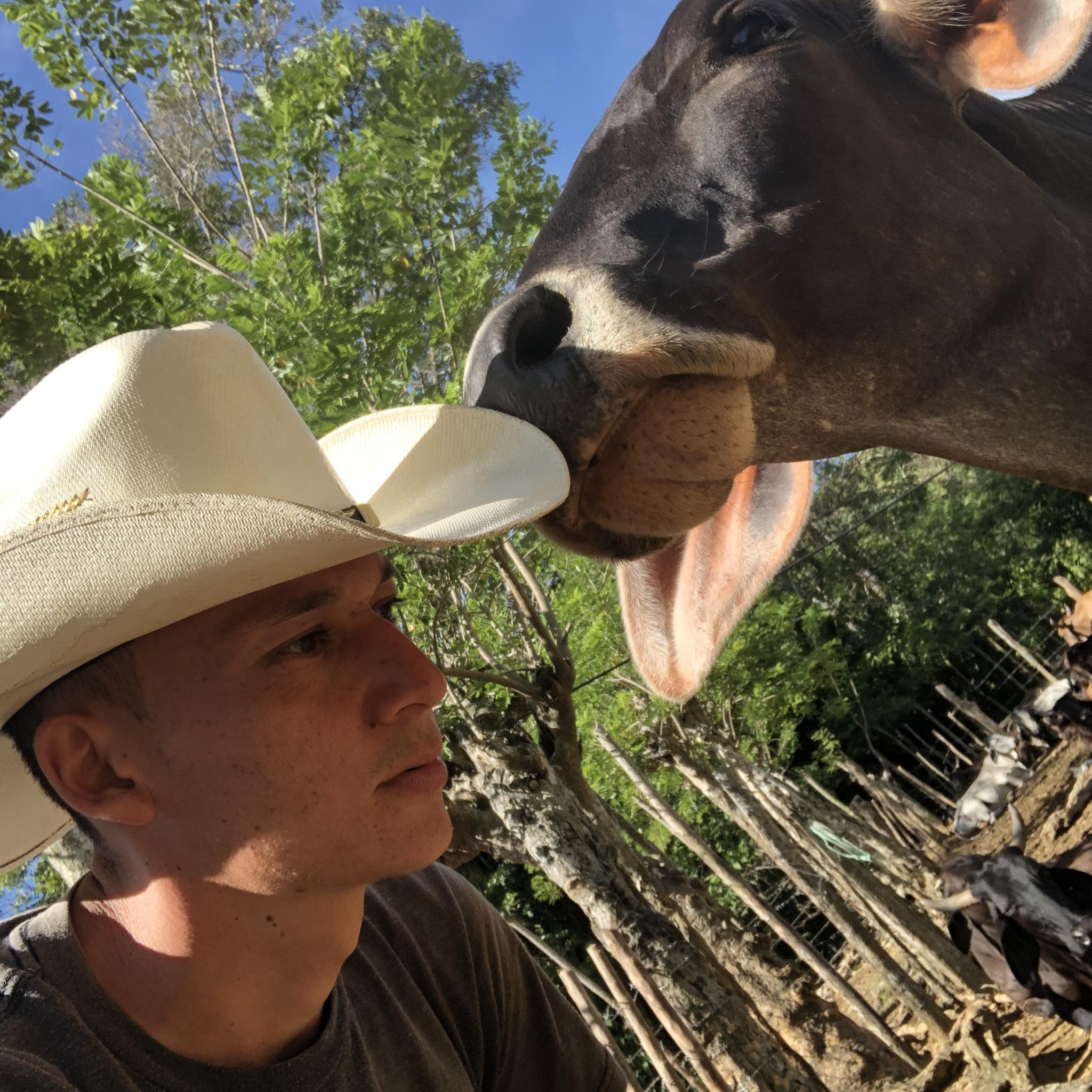 Vida de Ranchero | Jutiapa