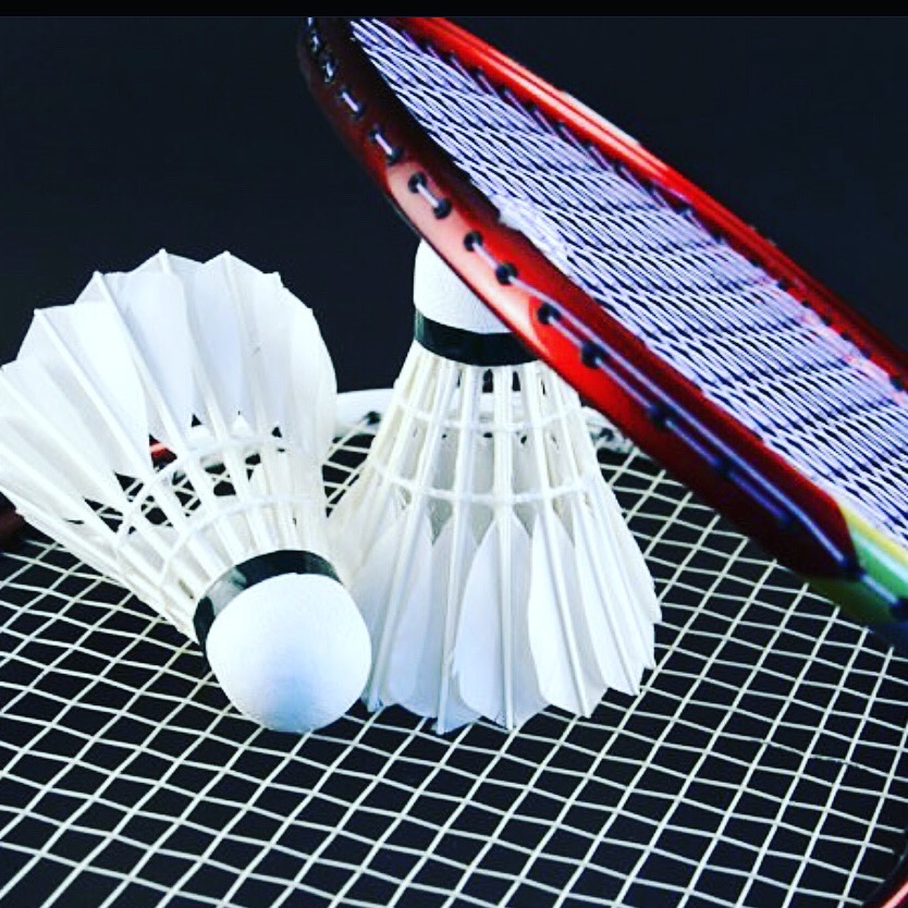 sport-badminton
