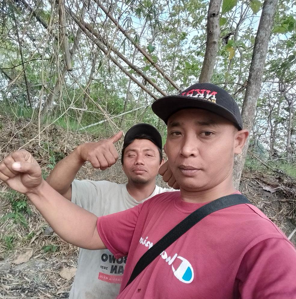 The powder is rosy red #ms661 | Suratno Paijo