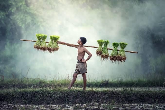 প্রকৃতির সৌন্দর্য 24