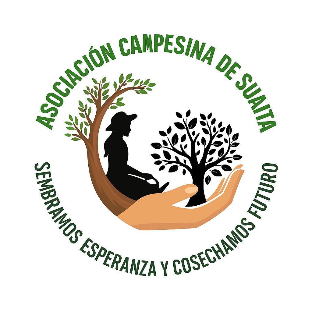 Acsu Suaita