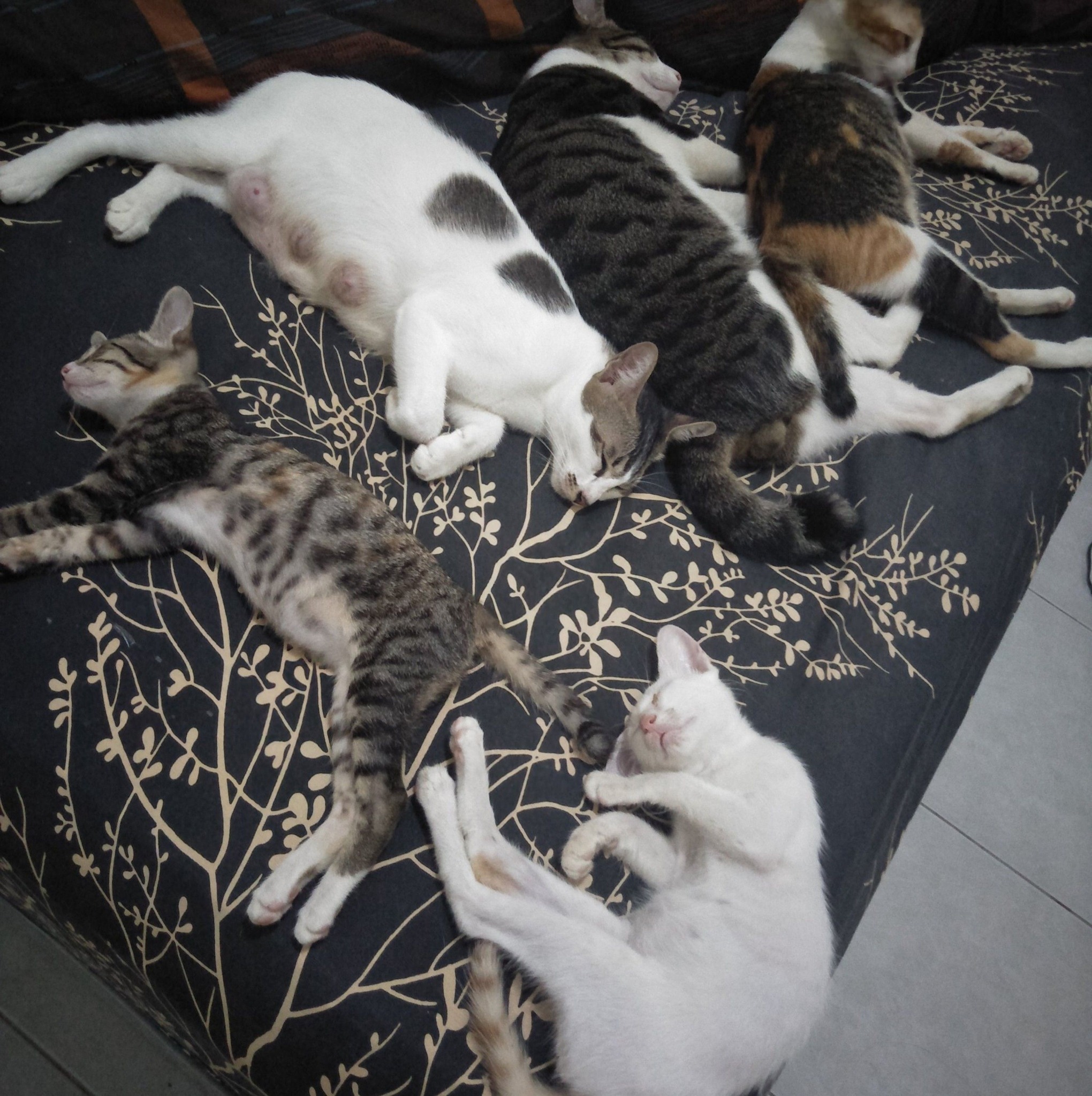 Masalah satu belum selesai nambah lagi yg baru.. Mosok kipas angin