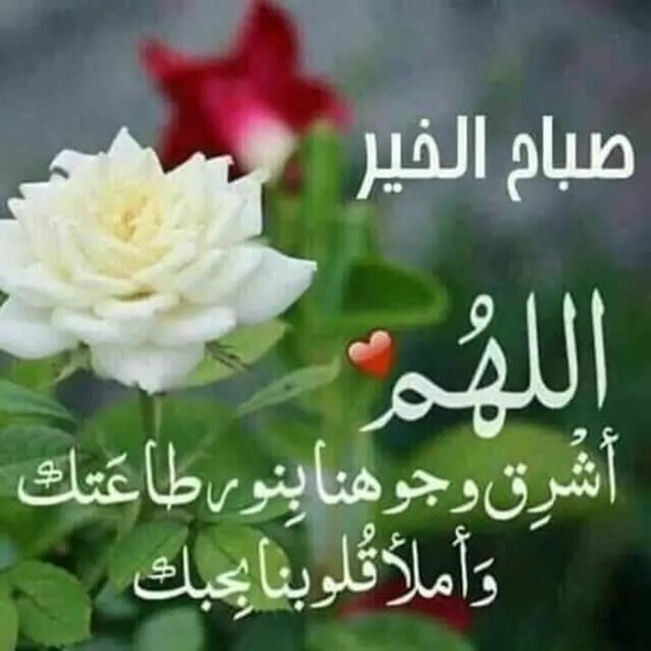 ‏إذا كان عندك دمَّل أو حبة أو بثرة أو التهاب تقول هذا الدعاء الذي دعا ...