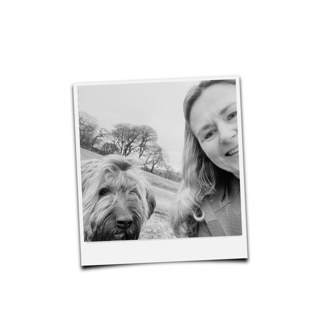 By The Fell | Cartmel