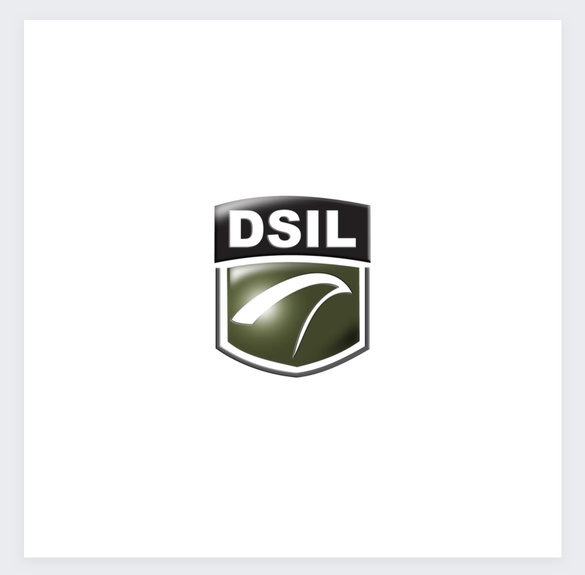 DSIL Seguridad Privada