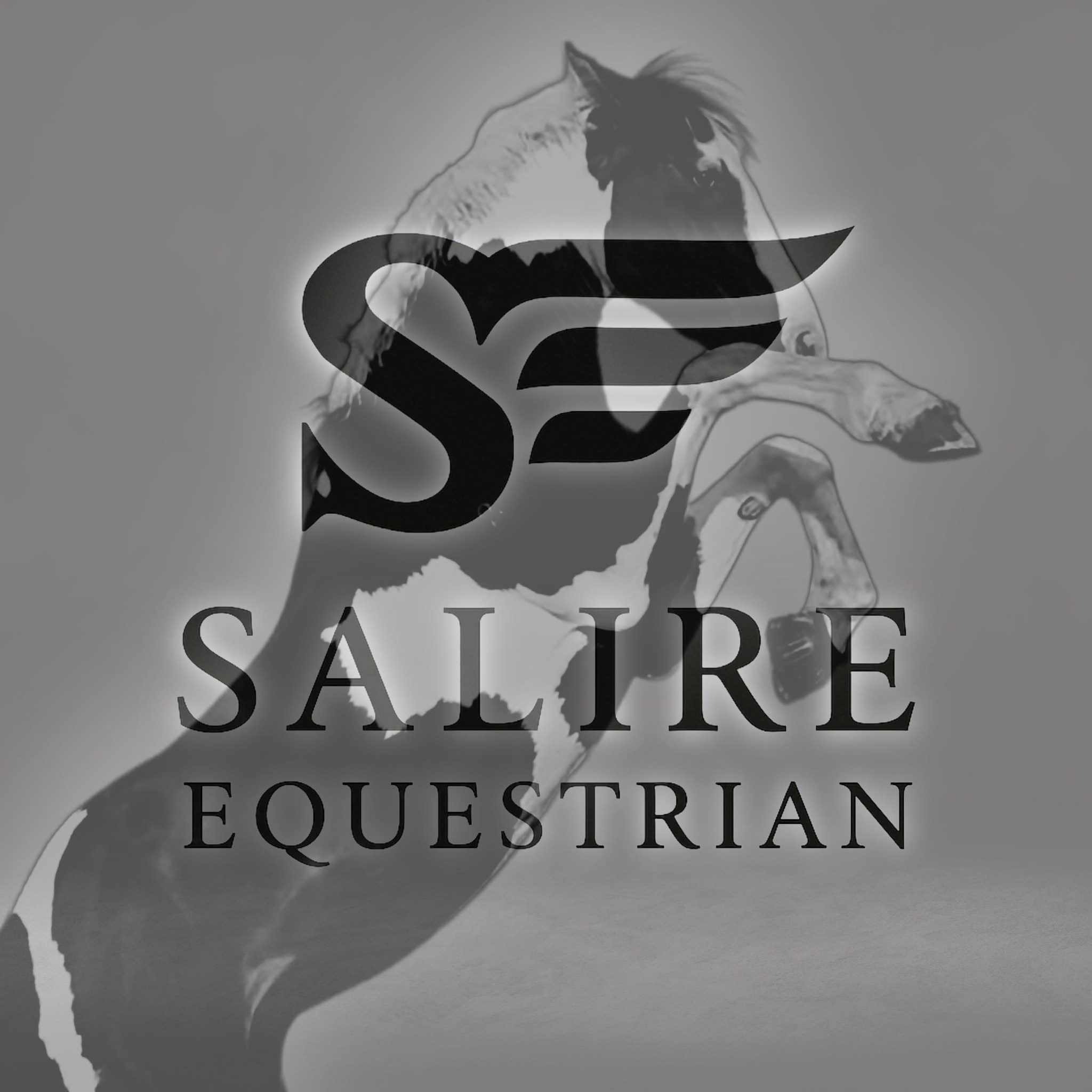 Salire Equestrian | Auckland