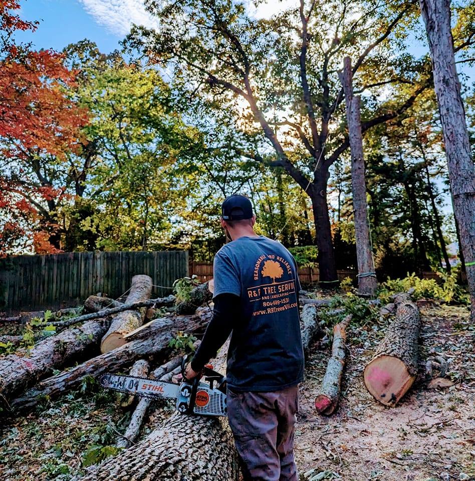 R&R Tree Service and Landscaping | Chesterfield VA
