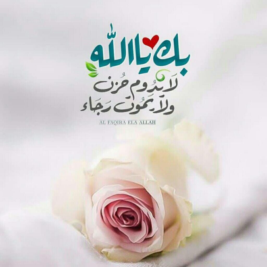 نوري ال نوري