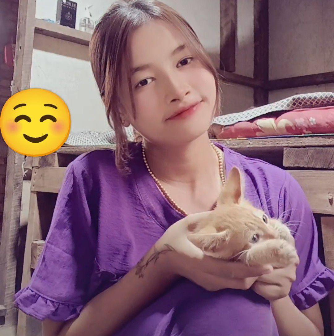 Han Ni Lin
