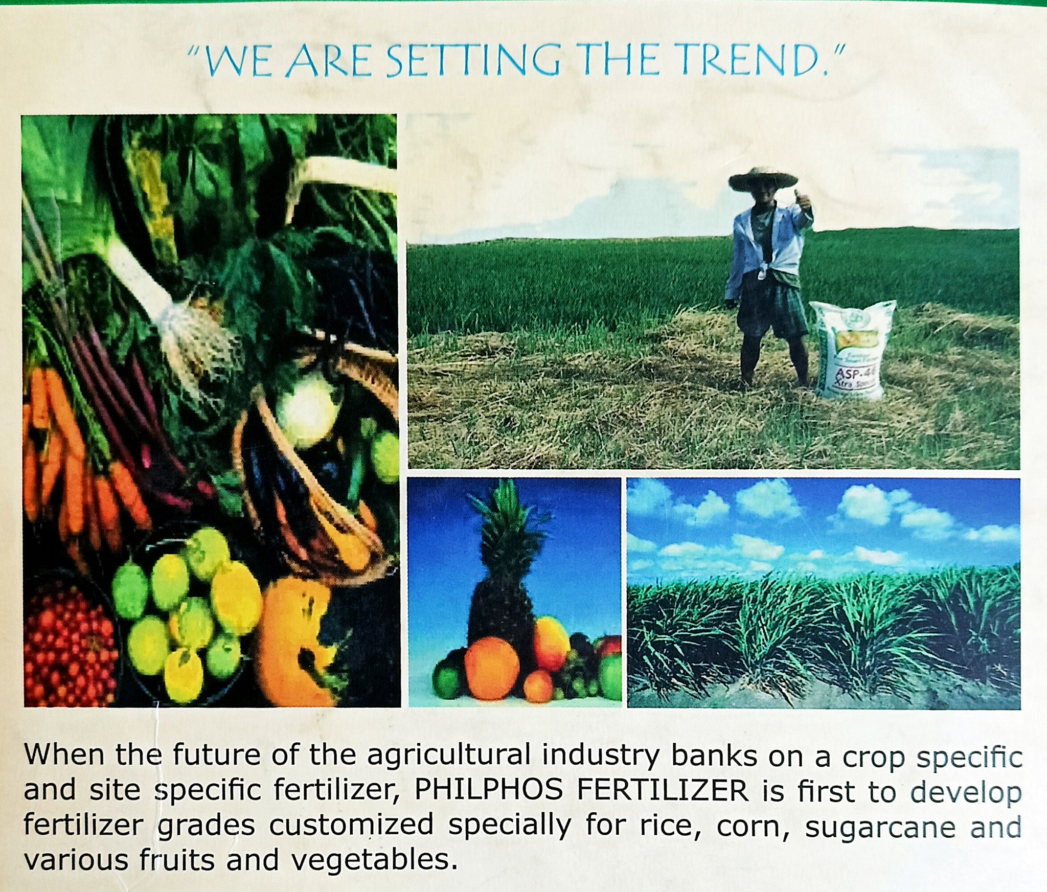 Gruppo NORTE Distribution CORP/ Philphos / Harvester Dirtributors | Marilao