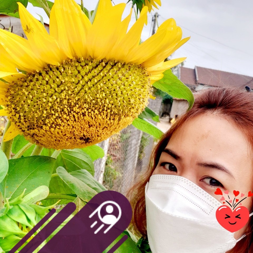 Hội sữa Vinamilk: Alpha, Optimum | Mình cần 1 hộp optimum1 với 2 hộp số ...