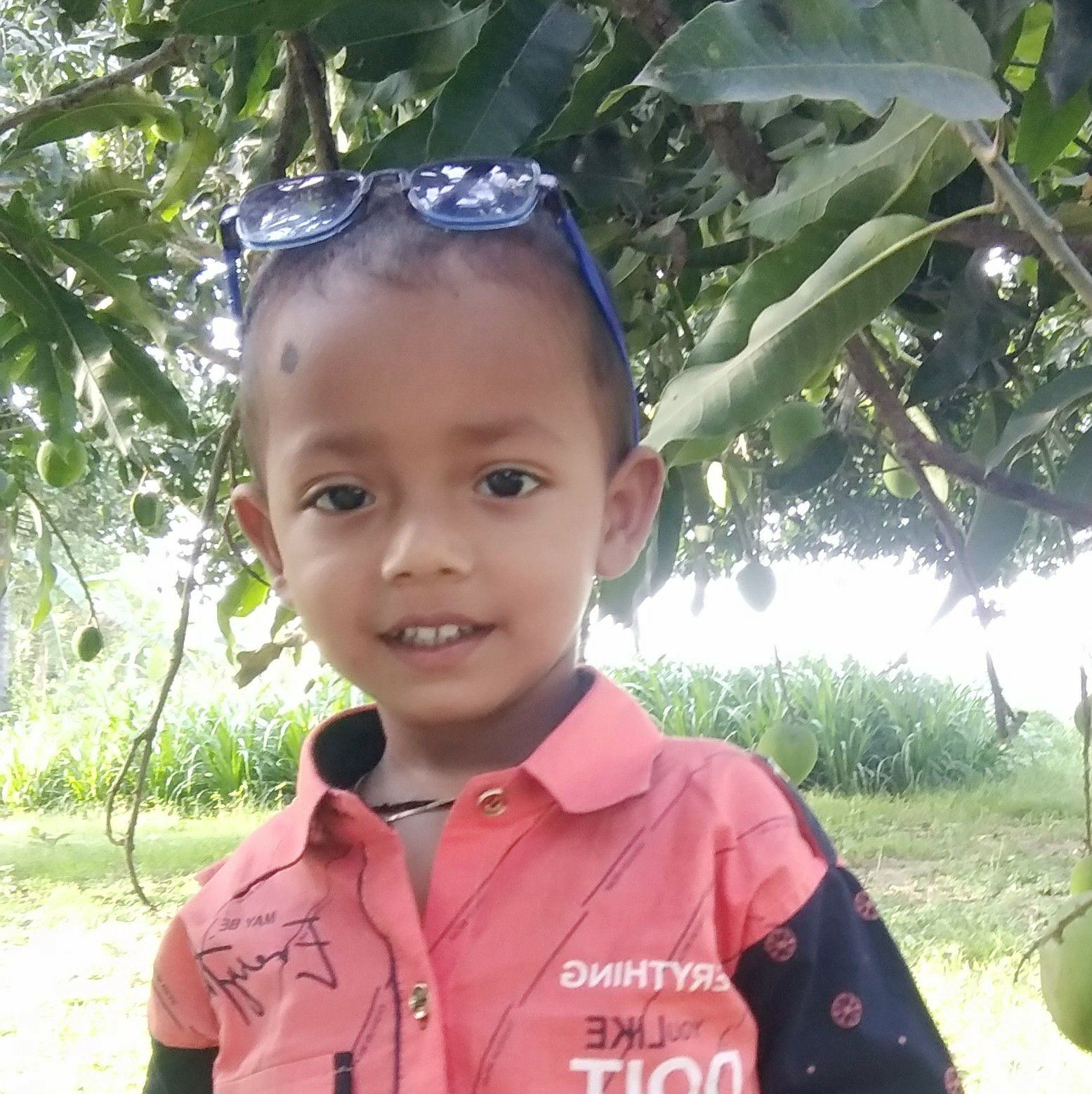 ধৈর্য পরীক্ষা মাত্র 24 সেকেন্ড শুনুন,, ইনশাআল্লাহ কলিজা ঠান্ডা হয়ে