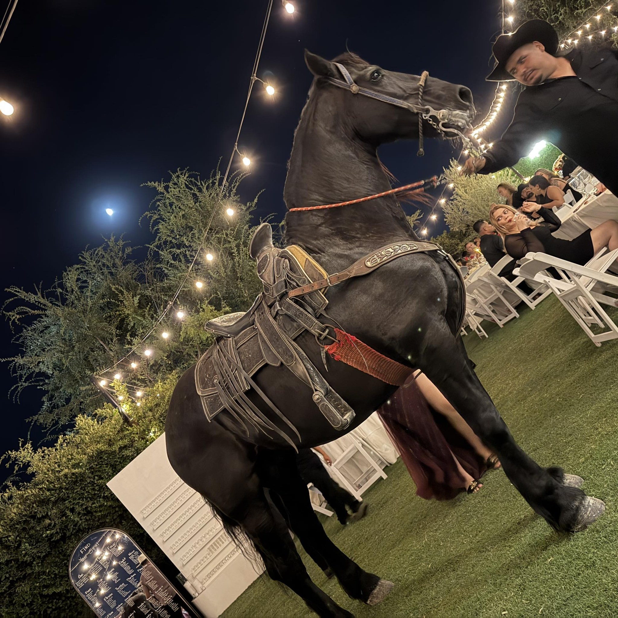 Rancho Los Olivos Weddings & Events | Bakersfield CA