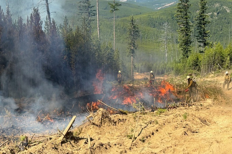 DOUBLE SNAG FIRE - The 131-acre... - Elkhorn Media Group