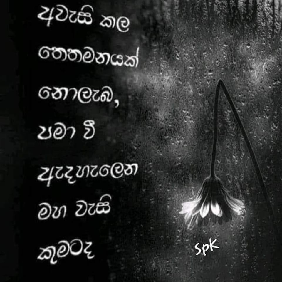 තාත්තගෙ ලව් එක ️🌚 . . . . . . . . . . . . . . . . . . . . . . . #fypシ ...