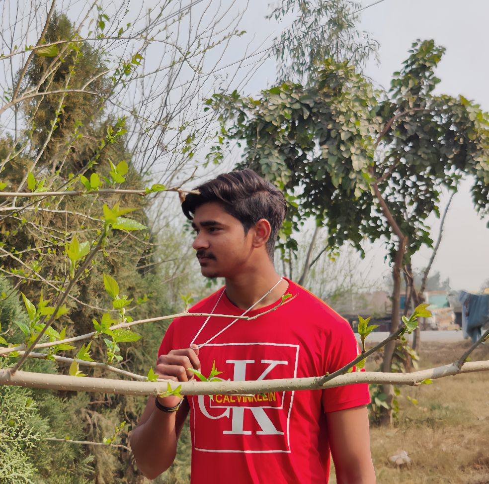 Itzz Raza Rajput meo