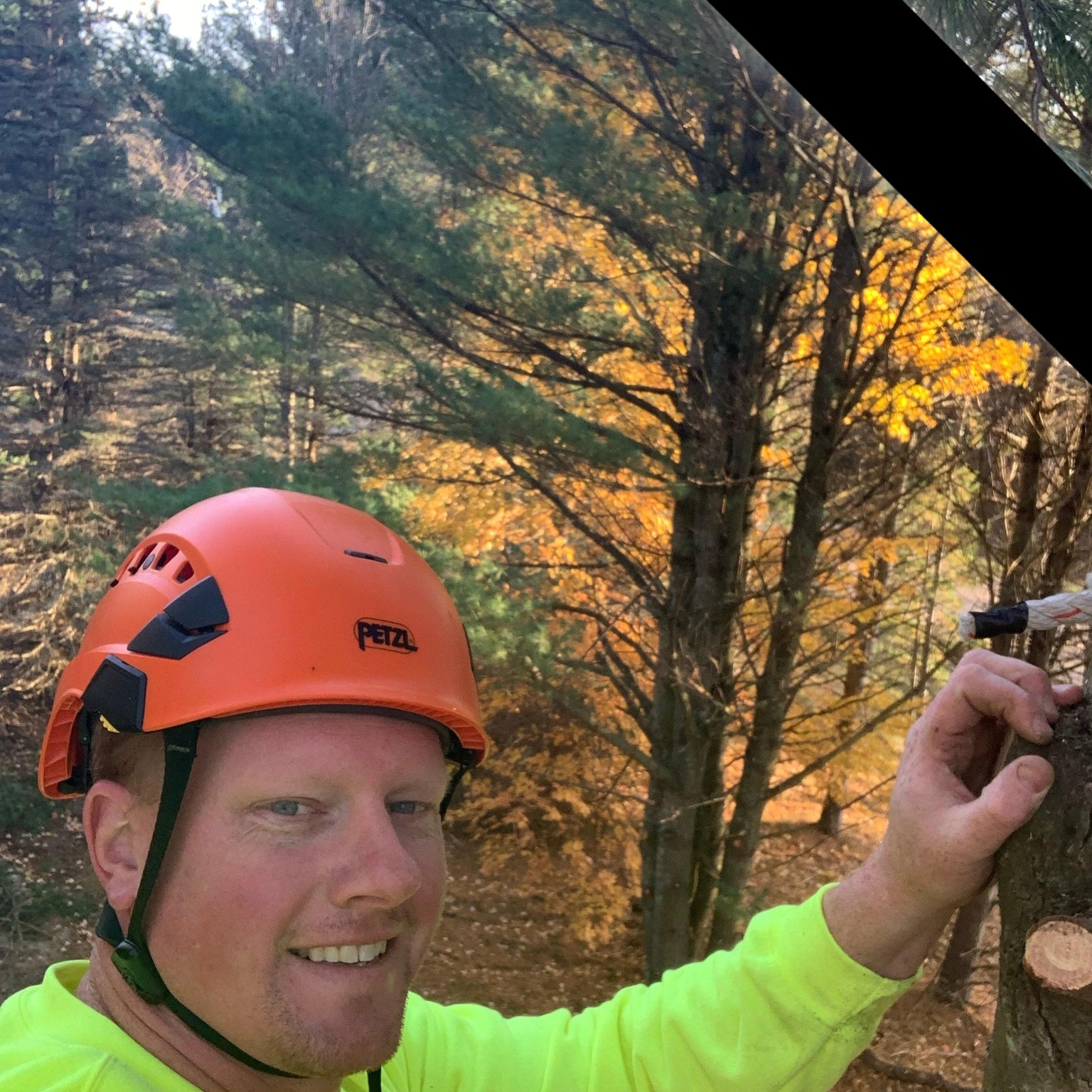 Homestead Tree Service LLC