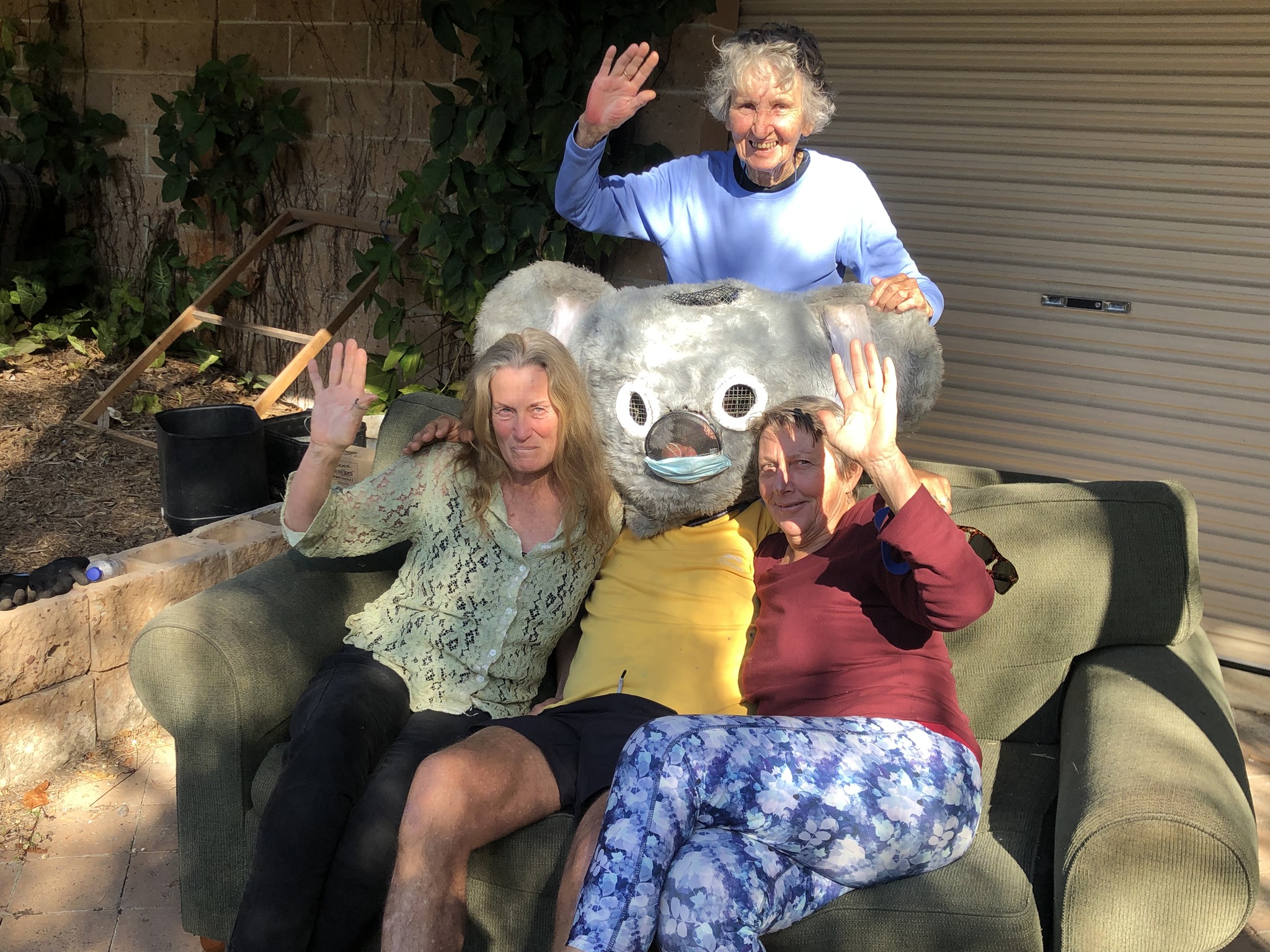 Friends of Coffs Coast Koalas