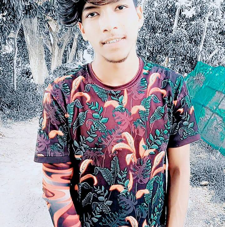 মির হোসেন