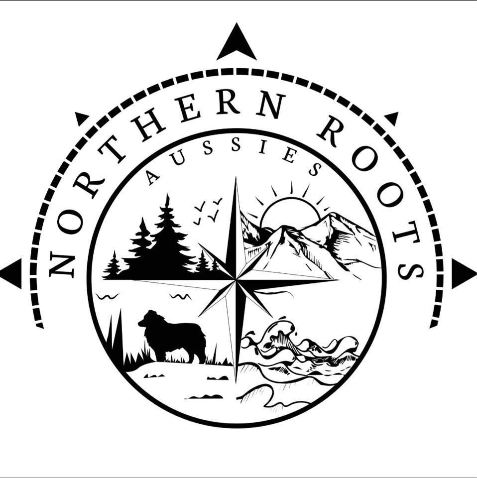 Northern Roots Aussies | Spokane Valley WA