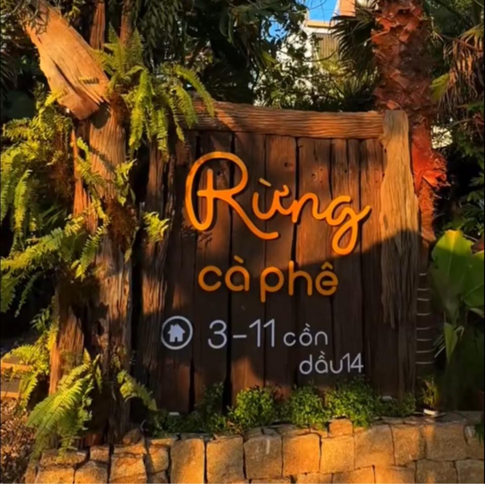 Rừng cà phê | Da Nang