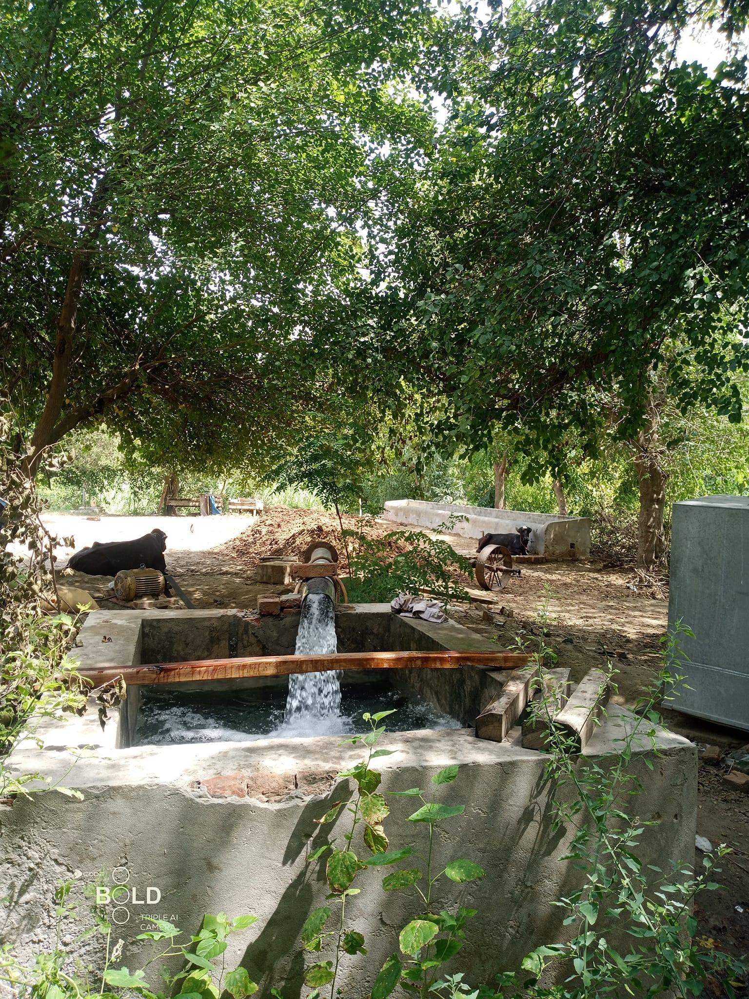 Adda Johal shakhupora road FSD | Faisalabad